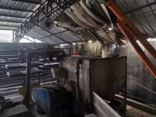 宁波地区处理纸托全套设备