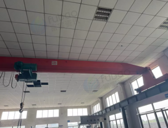 嘉兴地区处理5吨行车