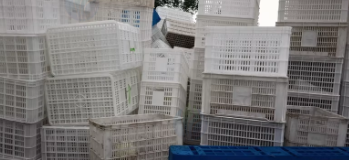 淄博地区处理500个周转筐