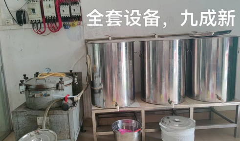 玉林地区处理花生榨油机