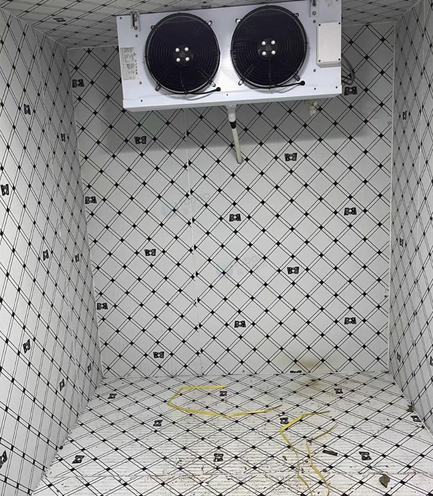 百色地区处理冷库