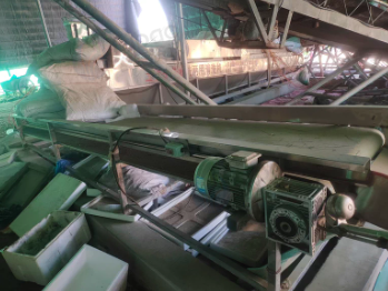 临沂地区处理土豆干洗水洗两用清洗机