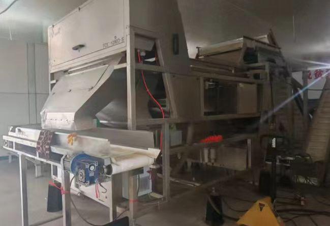 洛阳地区处理色选机、剪把机、传送带、空压机、辣椒脱粒机等辣椒处理设备