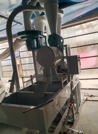 泰安地区处理皮心分离磨面机