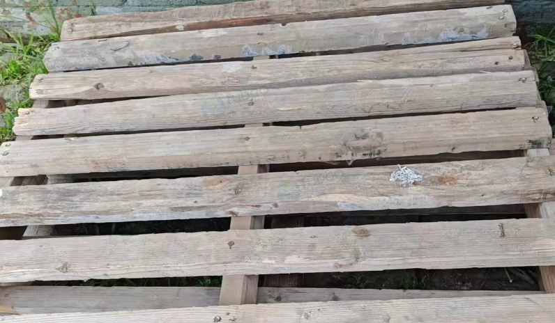 咸阳地区处理200多个木托盘