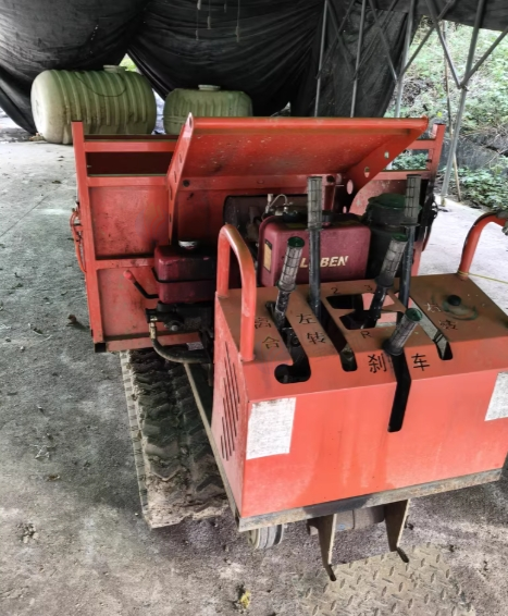 绵阳地区处理2·0爬山虎