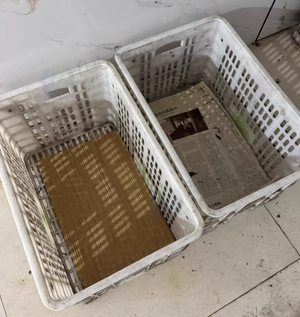 温州地区处理1批箩筐