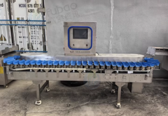 威海地区处理分选机 食品杀菌锅 自动升降油炸锅