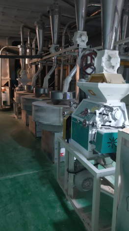 潍坊地区个人处理3+3石磨面粉设备