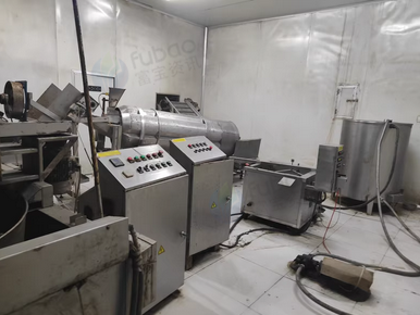 石家庄地区个人处理休闲膨化零食油炸线