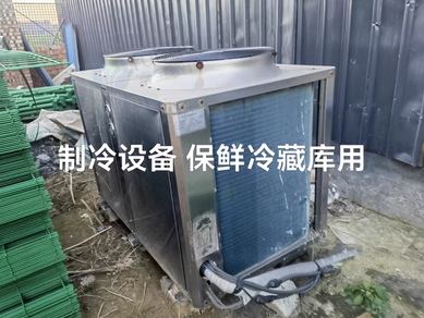 衡水地区处理果蔬保鲜库用制冷设备六台