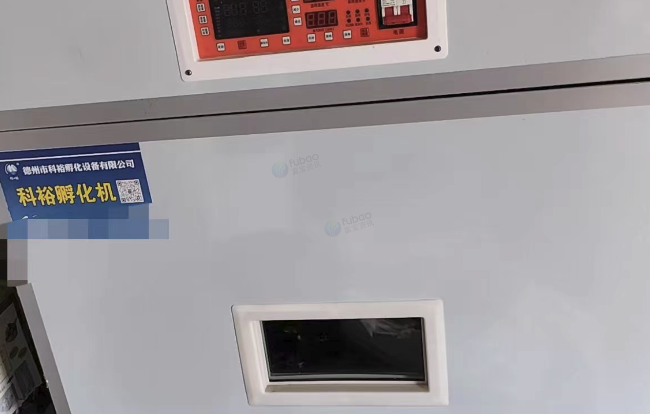 信阳地区处理孵化机