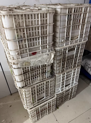 温州地区处理1批箩筐