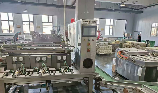 临汾地区处理浙瑞牌给袋式包装机