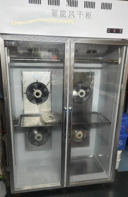 柳州地区处理巴尔赫智能风干机