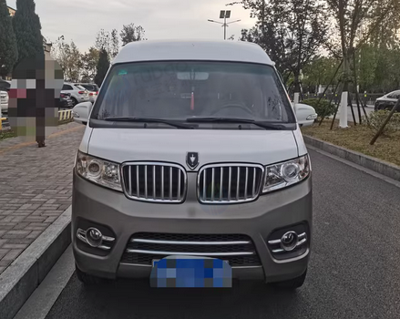 南昌地区处理18年11月金杯新海狮