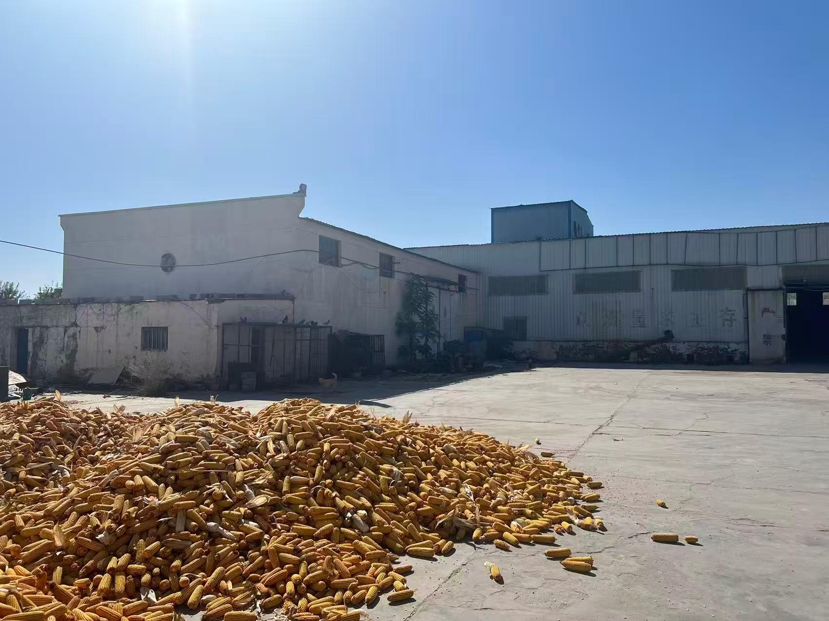 11月26日银川前进五队46号房产土地机器设备等转让公告