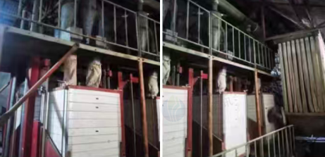 石家庄地区工厂处理河北皇牌面粉机整套、八台磨机、自动洗麦机、三组双仓高效平筛