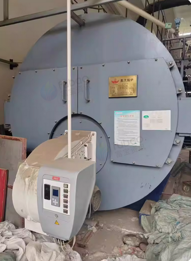 邢台地区处理三北拉法克6吨燃气蒸汽锅炉