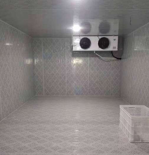 宿迁地区处理水果冷库