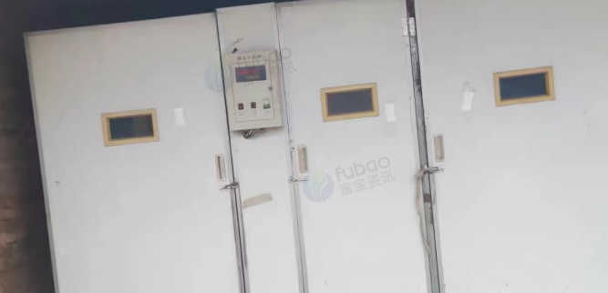 赤峰地区处理全自动大型孵化机