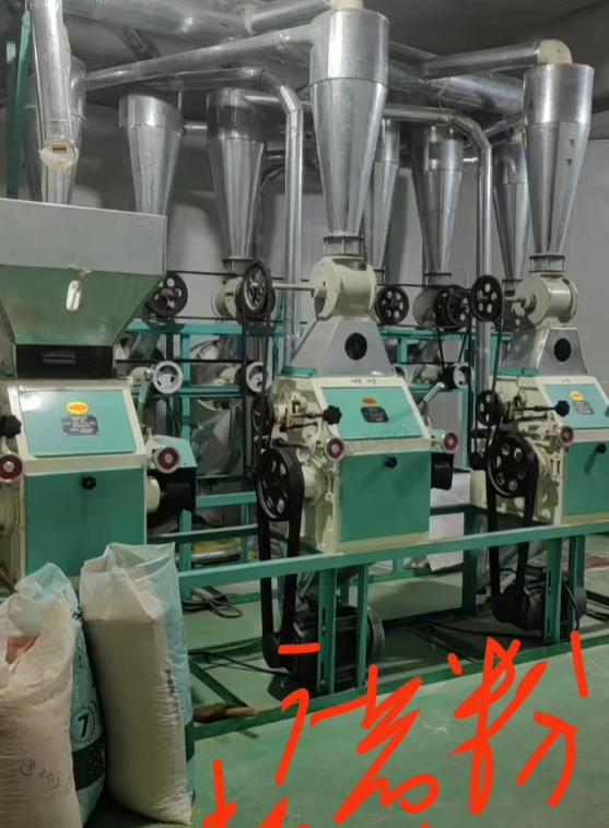 重庆地区工厂处理粮食加工全套设备