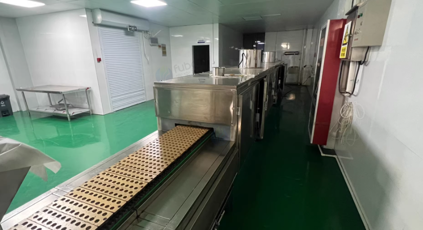 盐城地区工厂处理软糖生产线