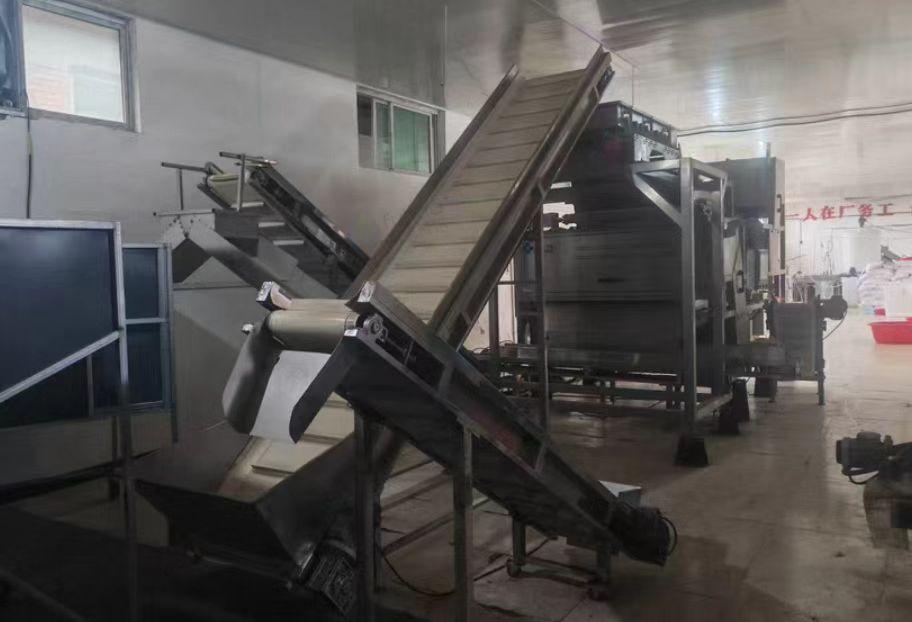 洛阳地区处理色选机、剪把机、传送带、空压机、辣椒脱粒机等辣椒处理设备