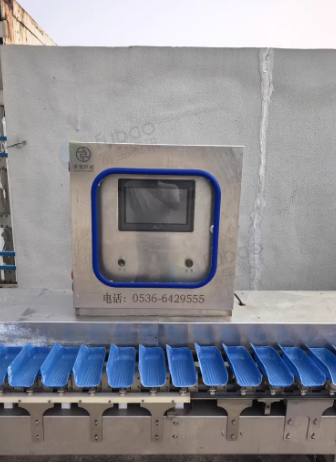 威海地区处理分选机 食品杀菌锅 自动升降油炸锅