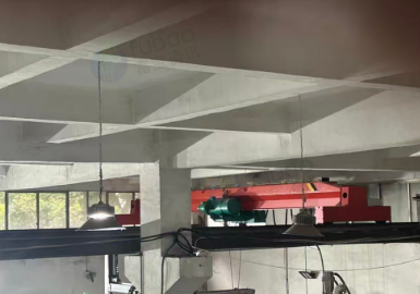 宁德地区处理5吨行车