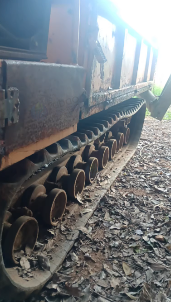 吉安地区处理4吨梅花爬山虎