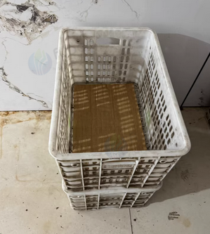 温州地区处理1批箩筐