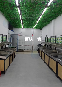 三明地区处理水果梯形展示架、生鲜货架