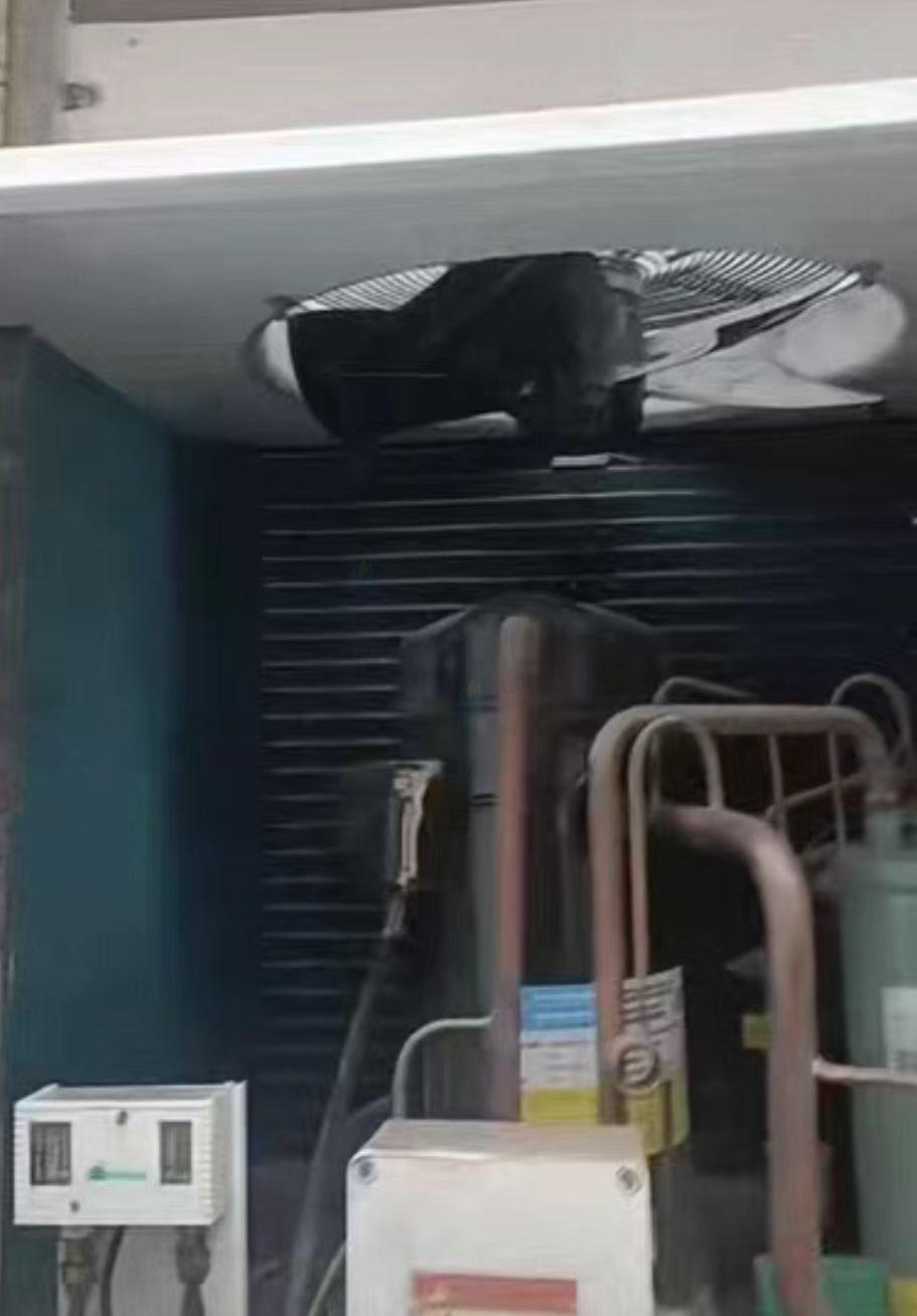 商丘地区处理十二平米冷库