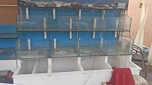 福州地区处理两米四海鲜池、加1米贝壳池