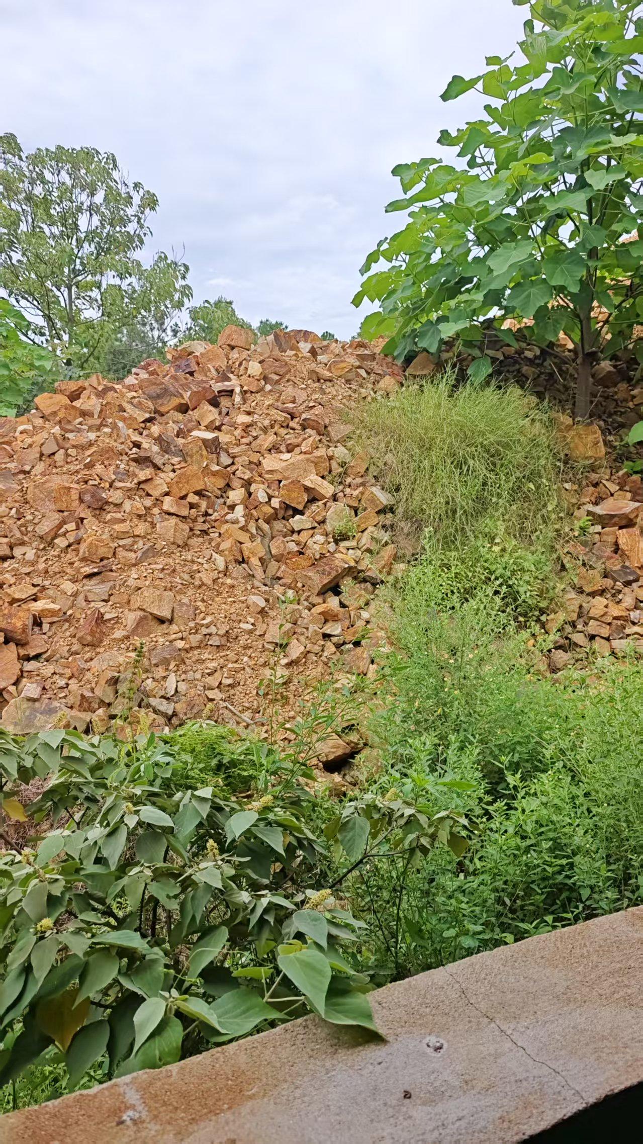 11月19日宜春一堆非法开采碎石拍卖公告