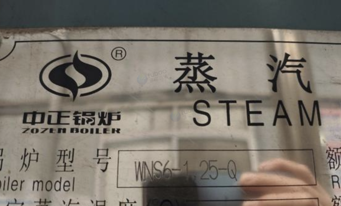 成都地区处理6吨中正天然气锅炉