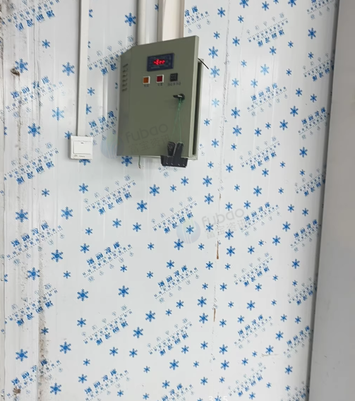 南通地区处理5.4×12冷藏冷冻库