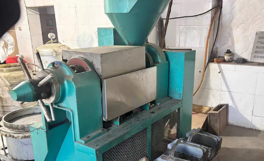 朝阳地区处理榨油设备