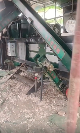 济宁地区处理大型蒜种分瓣分选机 大蒜正芽播种机