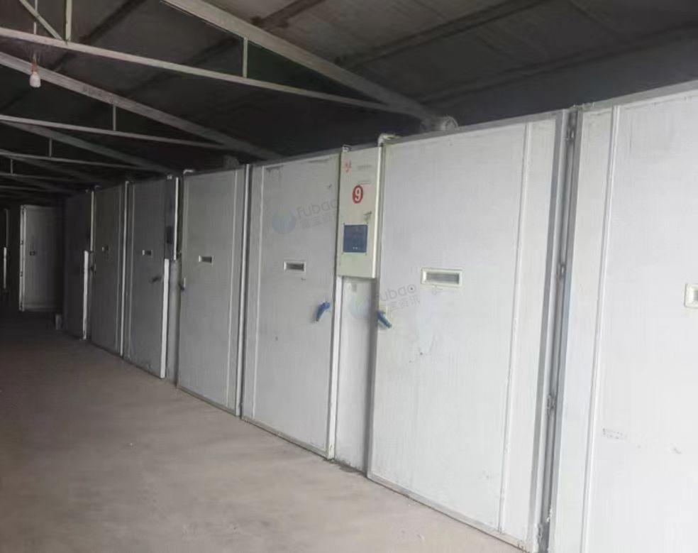 宣城地区处理自动孵化机