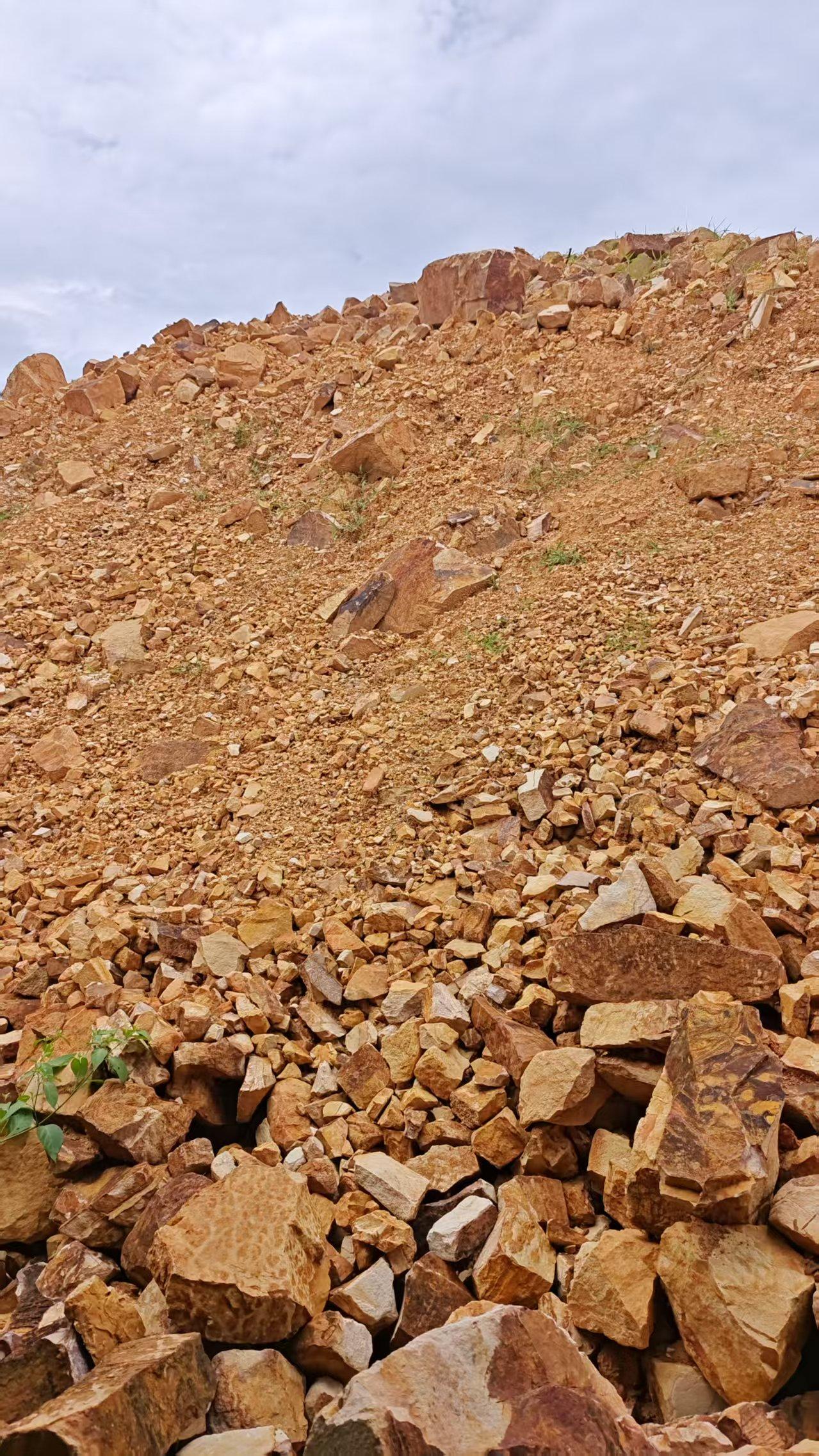 11月19日宜春一堆非法开采碎石拍卖公告