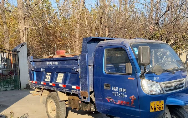 保定地区处理五星三马车