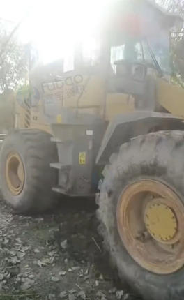 济宁地区处理5吨铲车