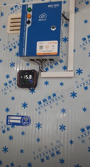 来宾地区改行处理冷库、肉丸全套设备