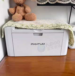 本溪地区处理奔图P2206W黑白激光打印机