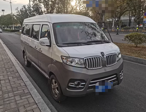 南昌地区处理18年11月金杯新海狮