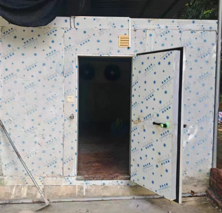 茂名地区处理冻库