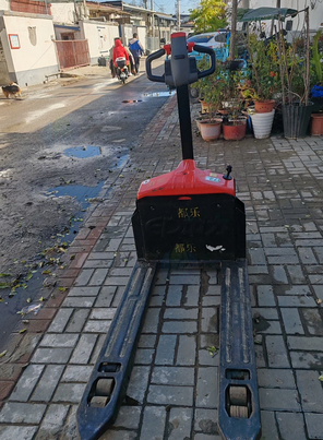 北京地区处理72V电牛