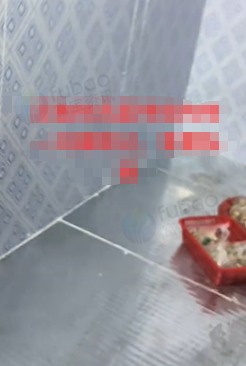 百色地区处理冷库